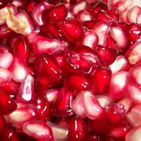 Pomegranate 