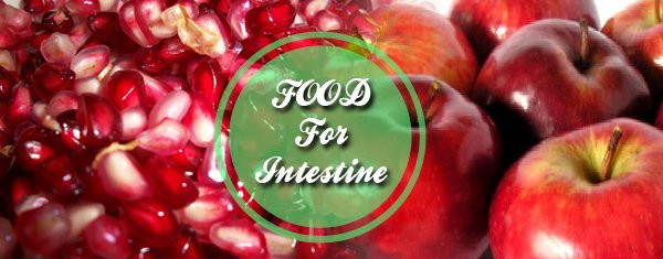 Food for Intestine