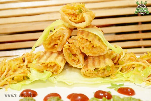 Veg Spring Rolls